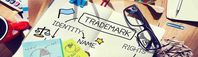 The Best Trademark Info Online